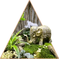 Exkluzív Florárium