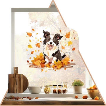 7 - Border Collie
