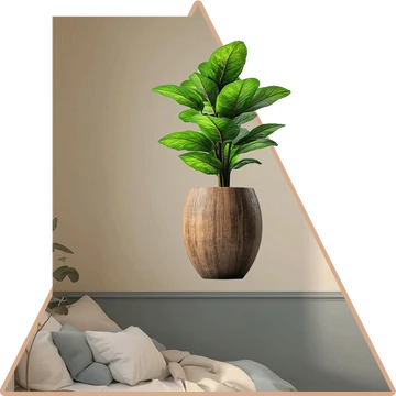 Minta 3