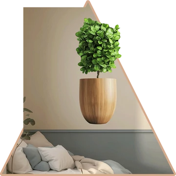 Minta 5