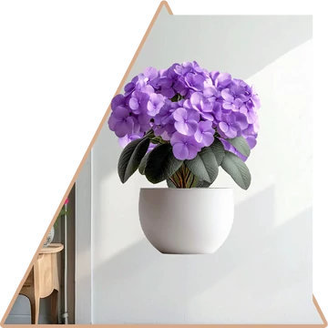 Minta 5