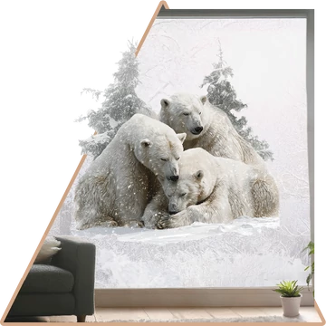 Válaszd ki - Csendes Észak Ablakmatrica [több méretben]