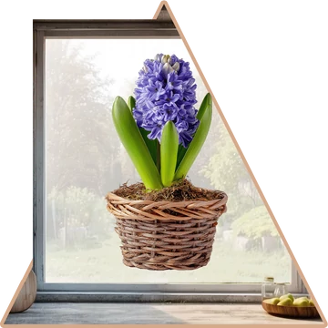 Minta 3