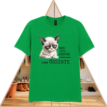 Nyers igazság Basic Póló (férfi / ír zöld) [L-méret]