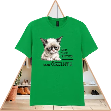 Nyers igazság Prémium Póló (női / ír zöld) [L-méret]