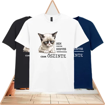 Nyers igazság Prémium Póló (női / fehér)