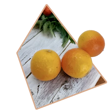 3 db-os MŰANYAG Dekorációs Mandarin