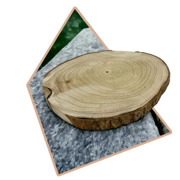 30cm Kérges Fa szelet 30X2CM