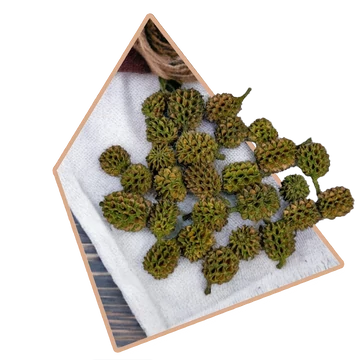 Zöld Szárított Casuarina 25g