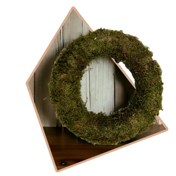 Mohakoszorú alap 20cm