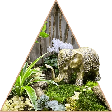 "Egzotikus India" Florárium