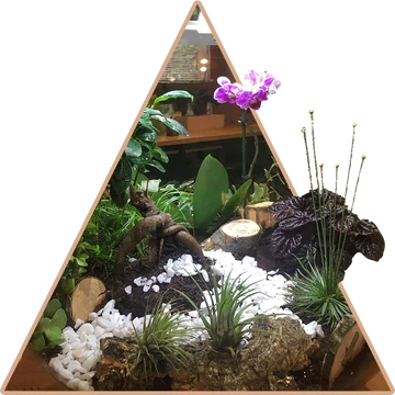 "Orchidea Varázs" Florárium