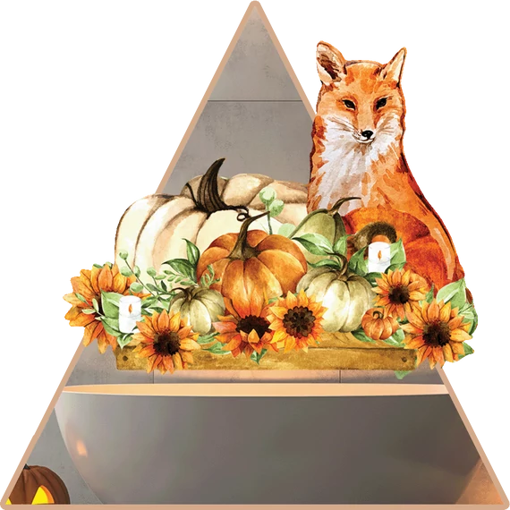 Fox Vibes NanoMatrica [S-méret]