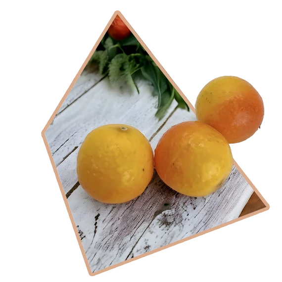 3 db-os MŰANYAG Dekorációs Mandarin