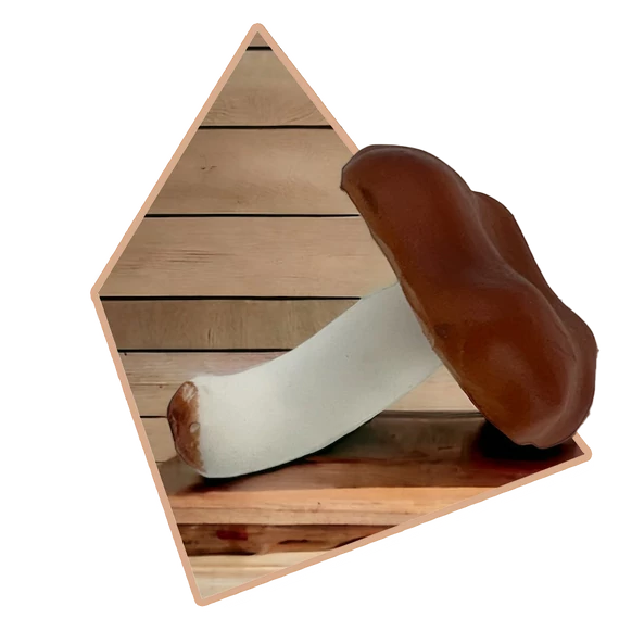 Élethű Gumis ERDEI GOMBA