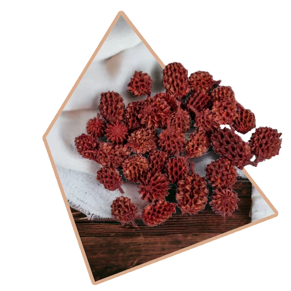 Piros Szárított Casuarina 25g