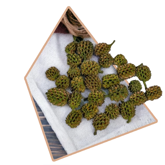 Zöld Szárított Casuarina 25g