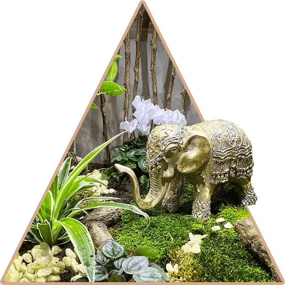 "Egzotikus India" Florárium
