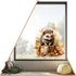 Kép 1/3 - Fall Cute Animals Ablakmatrica - Süni [XL-méret]
