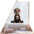 Kép 1/3 - Amstaff Ünnep Ablakmatrica - Minta 1 [S-méret]