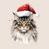Kép 3/3 - MaineCoon Ünnepe Ablakmatrica [S-méret]