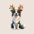 Kép 3/3 - Téli KutyaVilág Ablakmatrica - Border Collie [XL-méret]