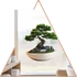 Kép 1/3 - Bonsai Lét Ablakmatrica - Minta 1 [S-méret]