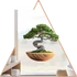 Kép 1/3 - Bonsai Lét Ablakmatrica - Minta 2 [XL-méret]