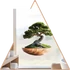 Kép 1/3 - Bonsai Lét Ablakmatrica - Minta 3 [S-méret]