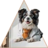 Kép 1/3 - KutyaÉlet - Border Collie NanoMatrica [S-méret]