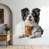 Kép 2/3 - KutyaÉlet - Border Collie NanoMatrica [S-méret]