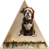 Kép 1/3 - Amstaff Ünnep NanoMatrica - Minta 2 [S-méret]