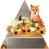 Kép 1/3 - Fox Vibes NanoMatrica [S-méret]