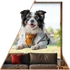 Kép 1/3 - KutyaÉlet - Border Collie Ablakmatrica [S-méret]