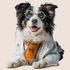 Kép 3/3 - KutyaÉlet - Border Collie Ablakmatrica [S-méret]
