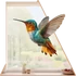Kép 1/3 - Kolibri Flow Ablakmatrica - Minta 2 [S-méret]