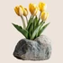 Kép 3/3 - Tulipánok Pompája Ablakmatrica - Minta 1 [S-méret]