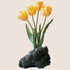 Kép 3/3 - Tulipánok Pompája Ablakmatrica - Minta 3 [S-méret]