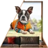 Kép 1/3 - KutyaÉlet - Boston Terrier Ablakmatrica [S-méret]