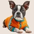 Kép 3/3 - KutyaÉlet - Boston Terrier Ablakmatrica [S-méret]