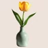 Kép 3/3 - Tulipánok Pompája Ablakmatrica - Minta 6 [S-méret]