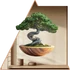 Kép 1/3 - Bonsai Lét NanoMatrica - Minta 2 [S-méret]
