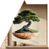Kép 1/3 - Bonsai Lét NanoMatrica - Minta 3 [mega-L méret]