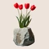 Kép 3/3 - Tulipánok Pompája Ablakmatrica - Minta 4 [S-méret]