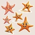 Kép 3/3 - Starry a Tengericsillag Varázsmatrica Szett [S-méret]