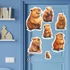 Kép 2/3 - Misu a Capybara Varázsmatrica Szett [M-méret]
