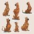 Kép 3/3 - Scooby Doo Varázsmatrica Szett [S-méret]