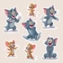 Kép 3/3 - Tom & Jerry Varázsmatrica Szett [S-méret]