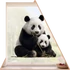 Kép 1/3 - Panda Élet Ablakmatrica [S-méret]