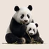 Kép 3/3 - Panda Élet Ablakmatrica [S-méret]
